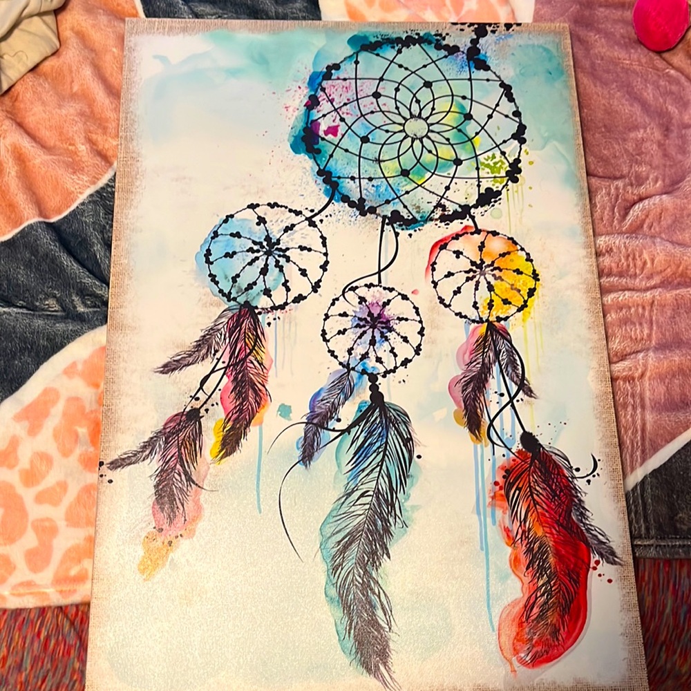It’s a canvas picture that has dream catchers on it! Good for bedroom!